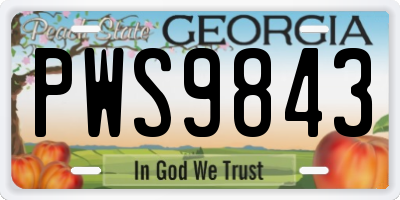 GA license plate PWS9843