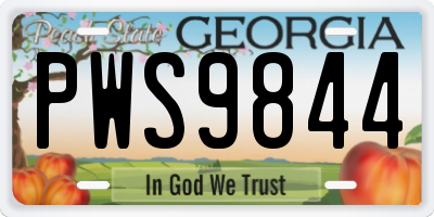 GA license plate PWS9844