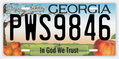 GA license plate PWS9846