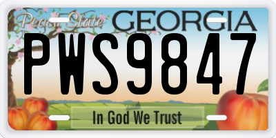 GA license plate PWS9847