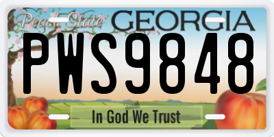 GA license plate PWS9848