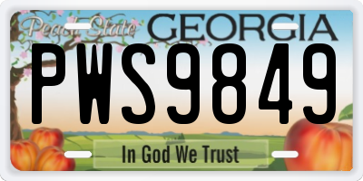 GA license plate PWS9849