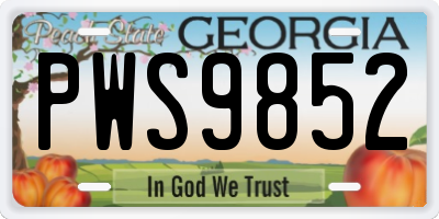 GA license plate PWS9852