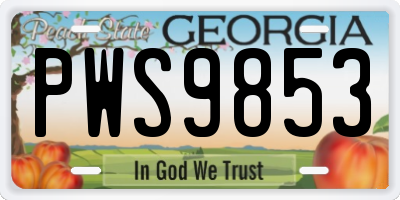 GA license plate PWS9853