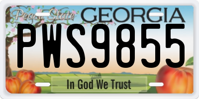 GA license plate PWS9855