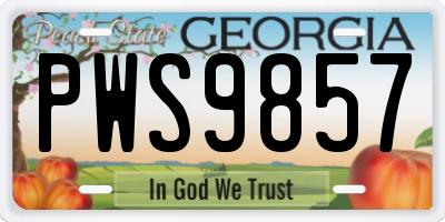 GA license plate PWS9857