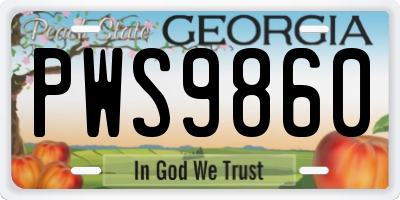 GA license plate PWS9860