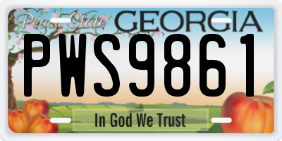 GA license plate PWS9861