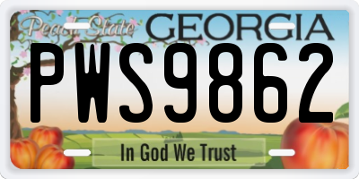 GA license plate PWS9862