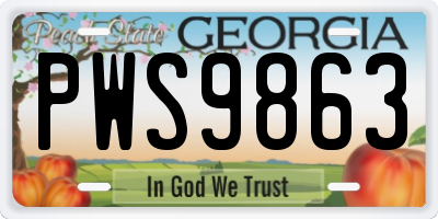 GA license plate PWS9863