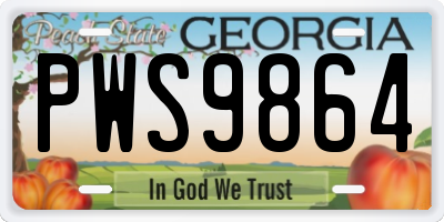 GA license plate PWS9864