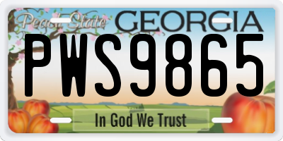 GA license plate PWS9865