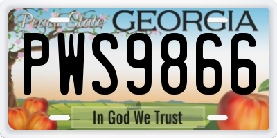 GA license plate PWS9866