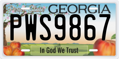 GA license plate PWS9867