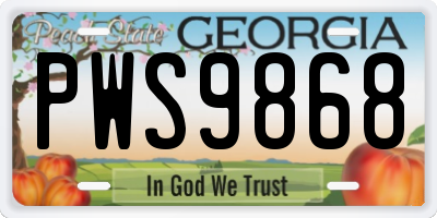 GA license plate PWS9868