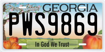 GA license plate PWS9869