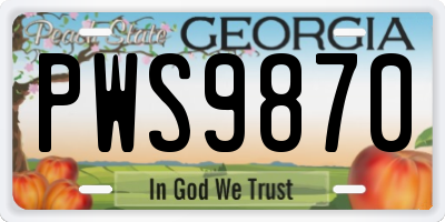 GA license plate PWS9870
