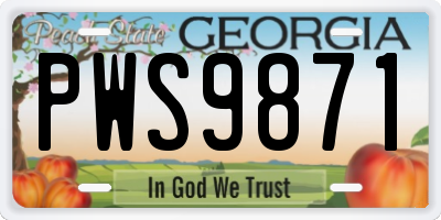 GA license plate PWS9871