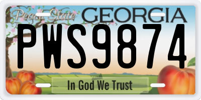 GA license plate PWS9874