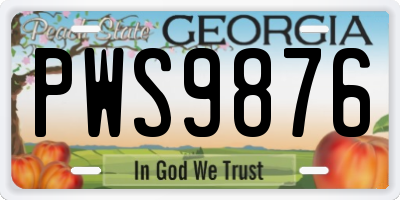 GA license plate PWS9876