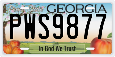 GA license plate PWS9877
