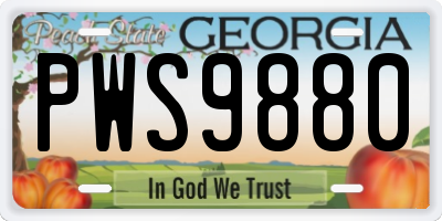 GA license plate PWS9880