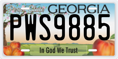 GA license plate PWS9885