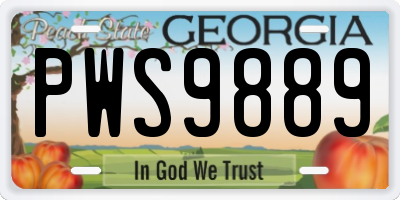 GA license plate PWS9889