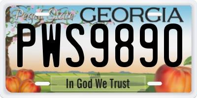 GA license plate PWS9890