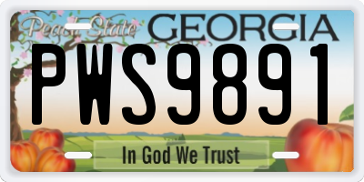 GA license plate PWS9891