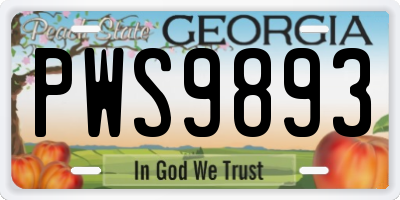 GA license plate PWS9893