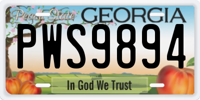 GA license plate PWS9894