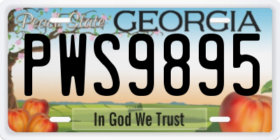 GA license plate PWS9895