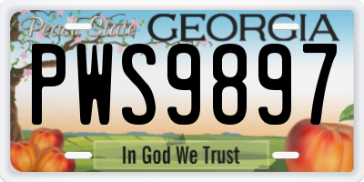GA license plate PWS9897