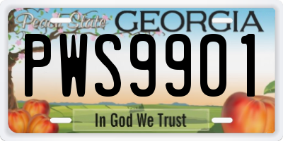 GA license plate PWS9901