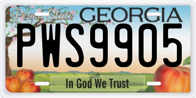 GA license plate PWS9905