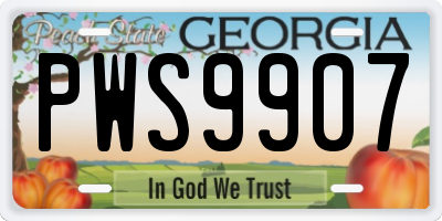 GA license plate PWS9907