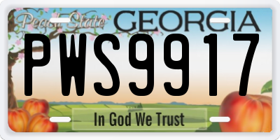 GA license plate PWS9917