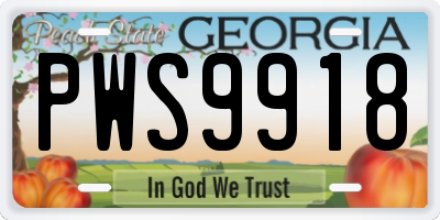 GA license plate PWS9918