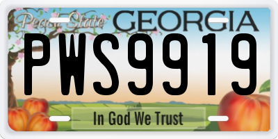 GA license plate PWS9919