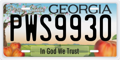 GA license plate PWS9930