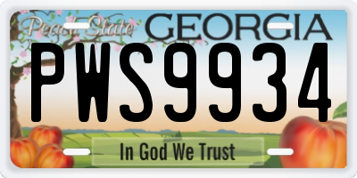 GA license plate PWS9934