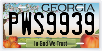 GA license plate PWS9939