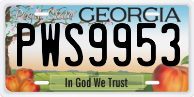 GA license plate PWS9953