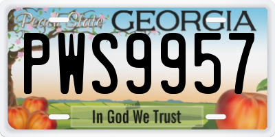 GA license plate PWS9957
