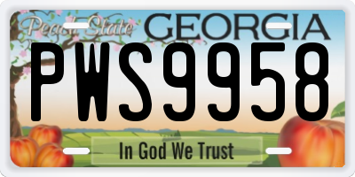 GA license plate PWS9958