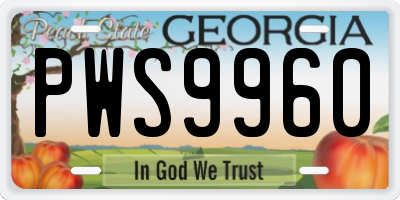 GA license plate PWS9960