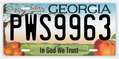 GA license plate PWS9963