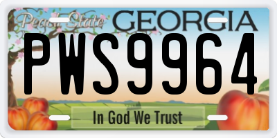 GA license plate PWS9964