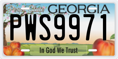 GA license plate PWS9971